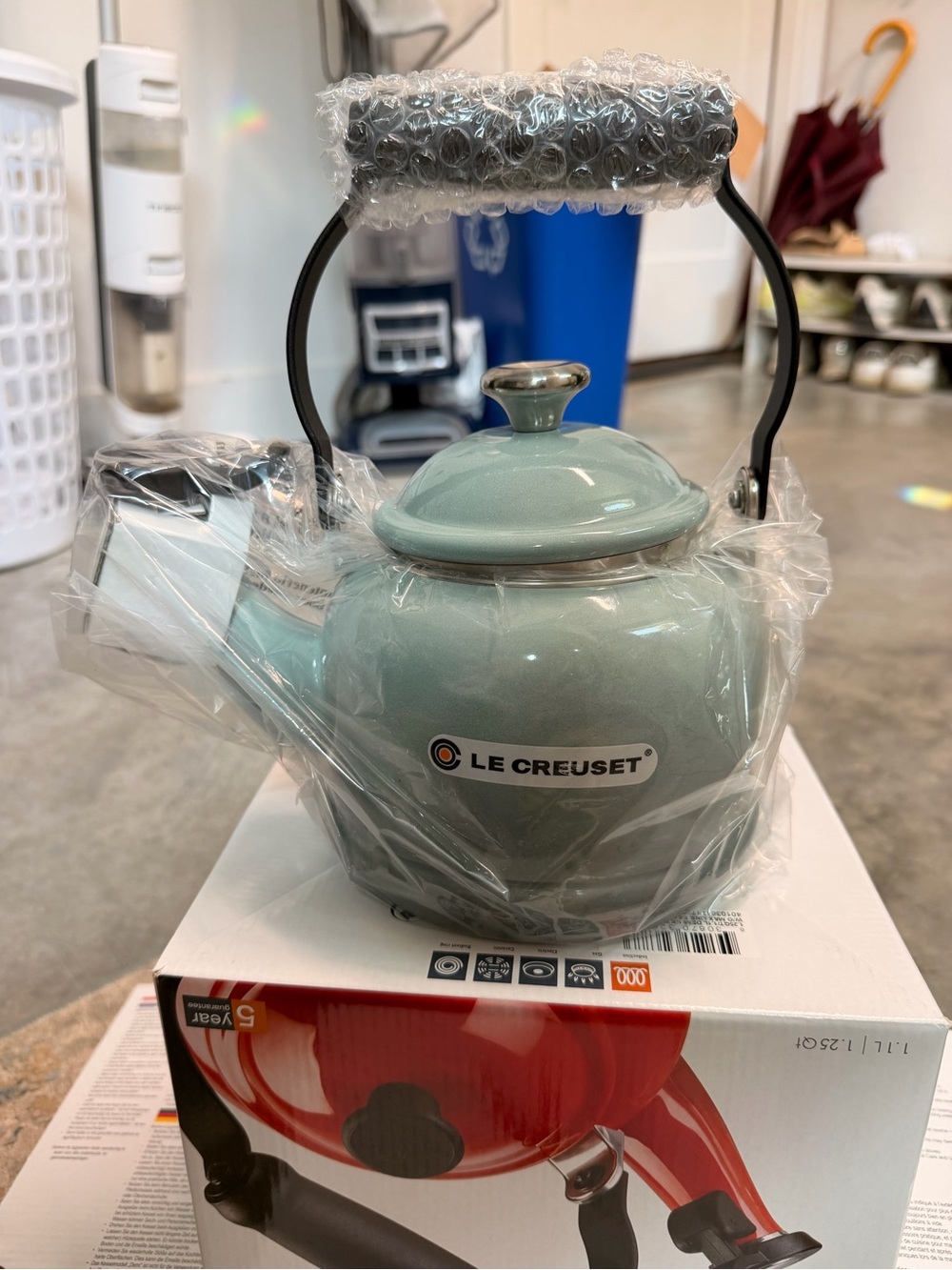 Le Creuset Teakettle in Sea Salt